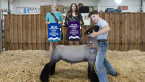 2024 Grand Champion Market Lamb