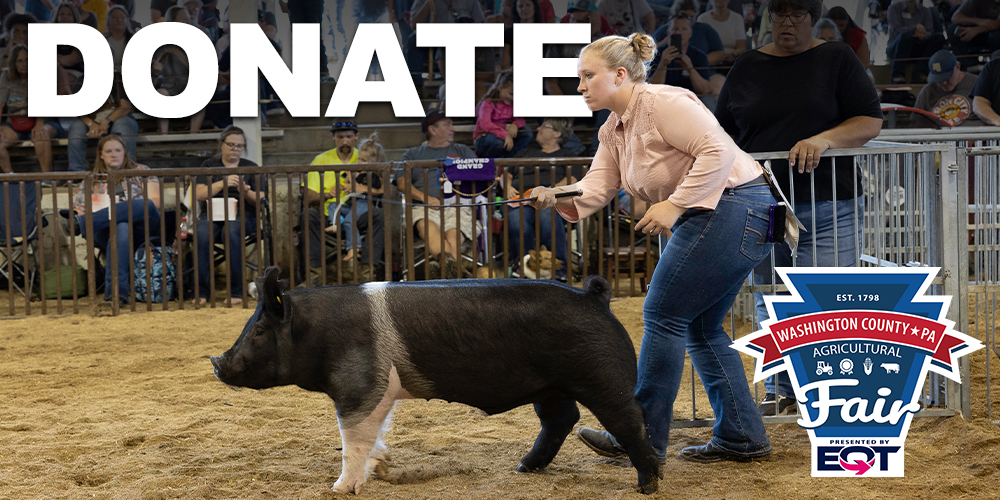 A graphic featuring a young girl showing a hog with the words "DONATE" above her head