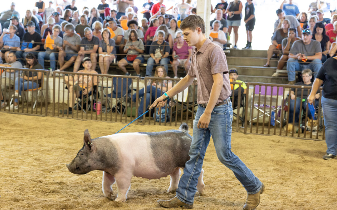 The Mission of the Washington County Agricultural Fair
