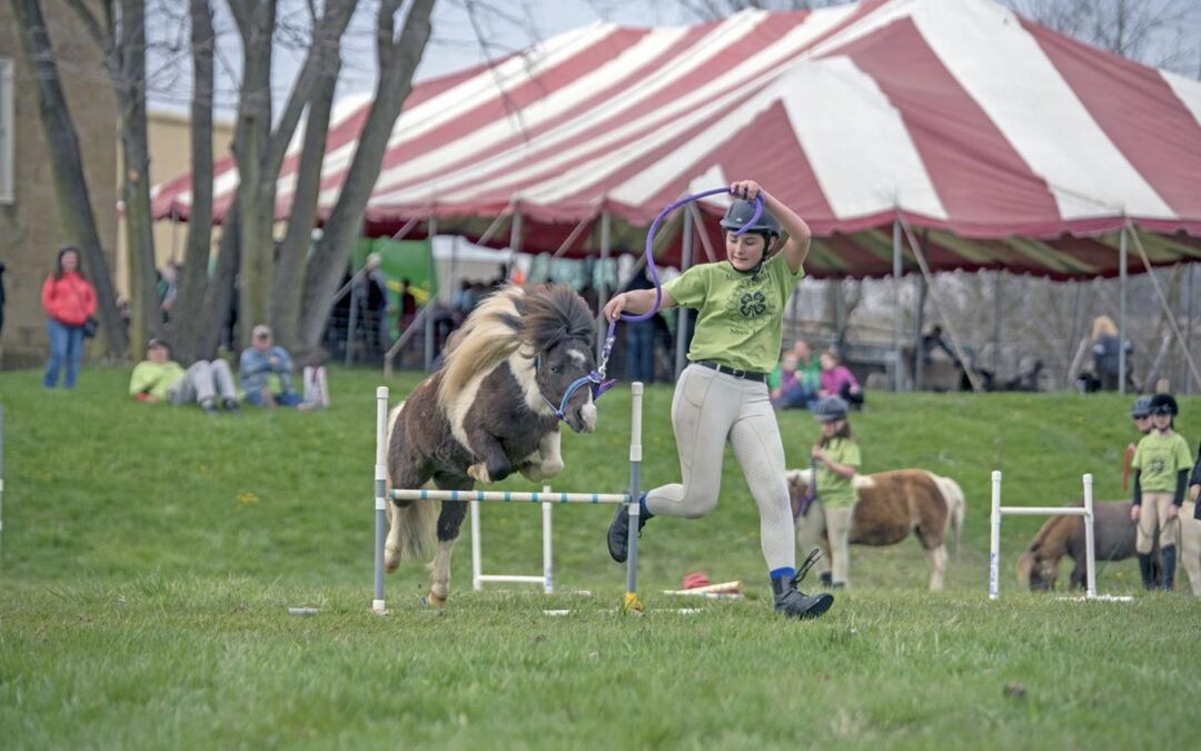 Spring 2025 events at the Washington County Fairgrounds