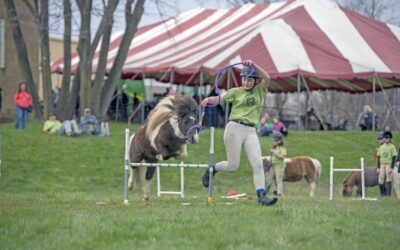 Spring 2025 events at the Washington County Fairgrounds