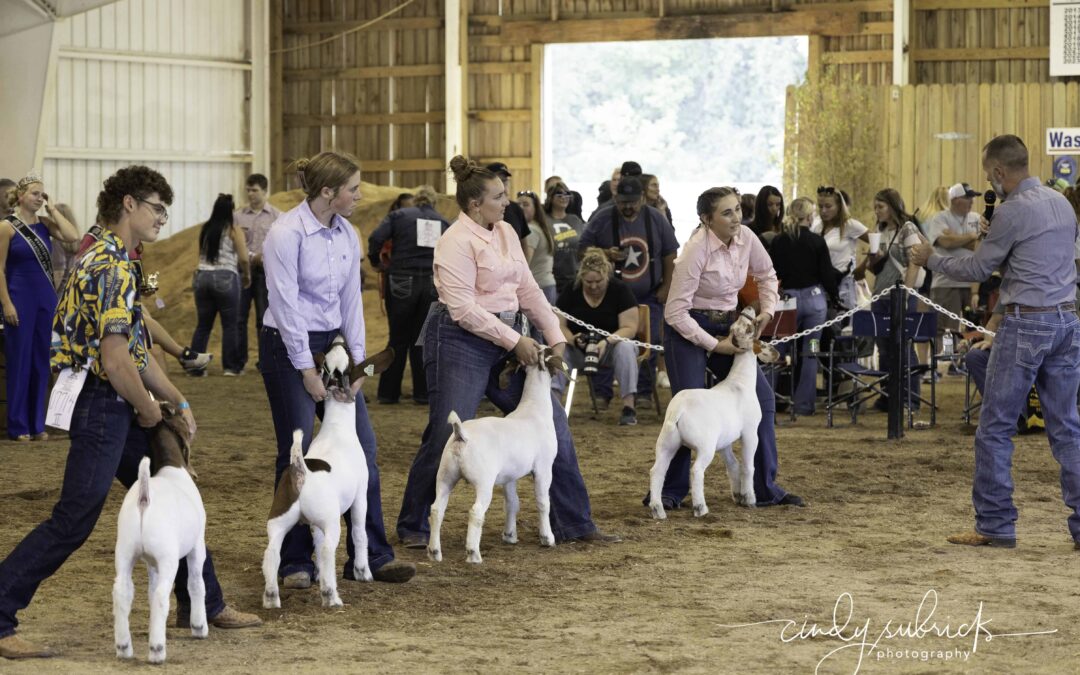 Get ready for the 2025 Washington County Agricultural Fair: A celebration of tradition, community, and fun!