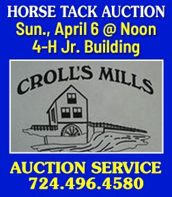 Horse Tack Auction