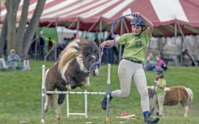 Explore Ag Days at the Washington County Fairgrounds