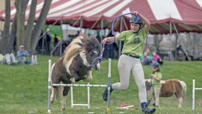 Explore Ag Days at the Washington County Fairgrounds