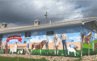 See what’s new at the Washington County Fairgrounds: Recent upgrades and what’s coming next!