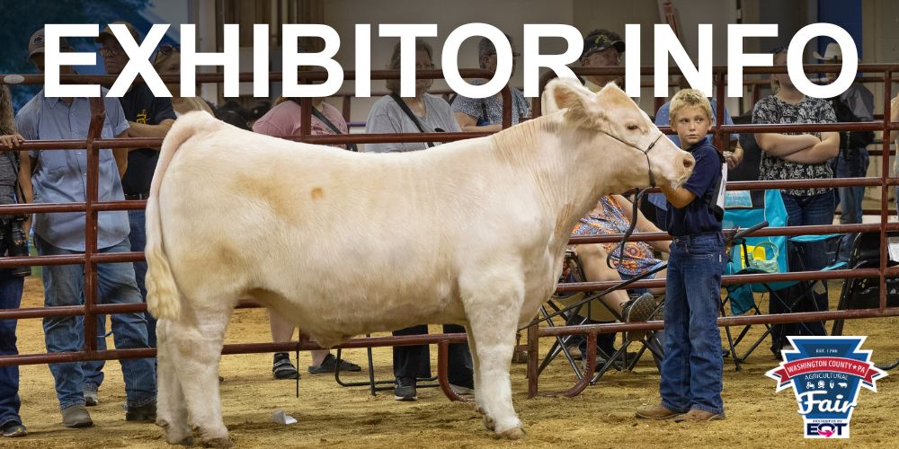 Graphic featuring a young boy with his steer that says "Exhibitor Info"