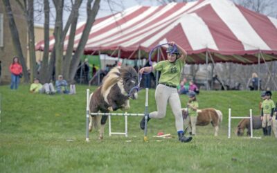 Kick Off Fair Season at Ag Days this April