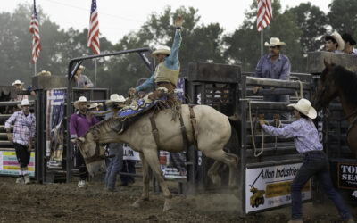 Sponsors Make the Fair Possible: Choose a Package Today!